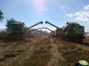 Claas x7
