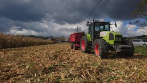 Claas Ares 696Rz