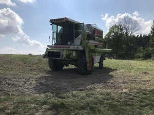 Claas Dominator 98SL MAXI