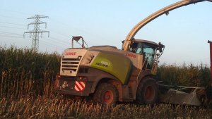 Claas Jaguar 860