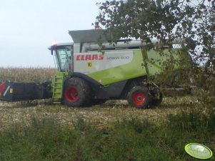 Class lexion 