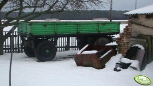 D-50