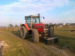 Massey Ferguson 3655