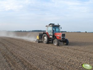 Massey Ferguson 3050 + Poznaniak