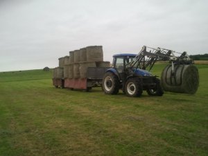 New Holland TD80D