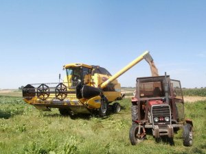 New Holland TC5070 &MF 255 + 1-ПТУ-4,0