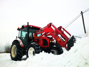 Zetor Proxima 8541