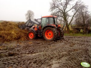 Kubota M8540 + Quicke Q35