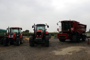 MF & Case & Zetor