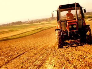 Zetor 7745