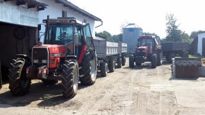 Massey Ferguson 3095 i Case Maxxum 5130