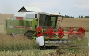 Claas mega 208 dominator