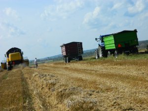 New Holland CX5080, New Holland T7-220, Zasław, Wielton