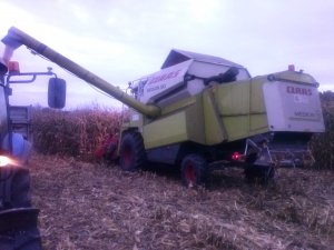 Claas Medion 310