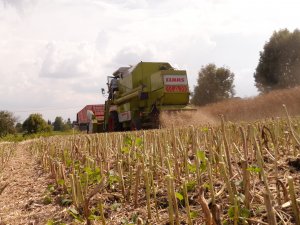 Claas Dominator 68