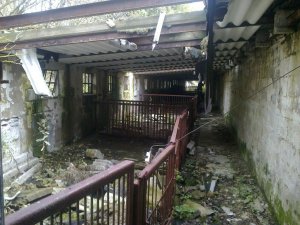 pozostałości po chlewni