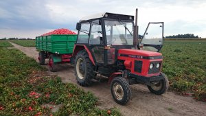 Zetor 5211 i Autosan d50