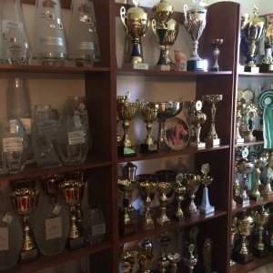 Puchary w Dobrzyniewie