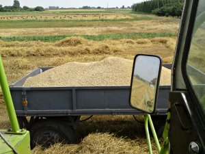 Claas Dominator 76 & Autosan D44