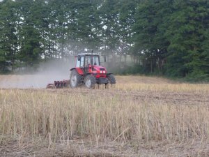 Belarus 1221.3 + talerzówka