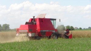 Massey Ferguson 29XP