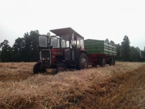 Massey  Ferguson 255 + HL 60 . 11 .