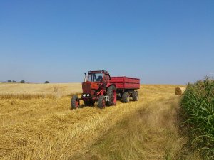 Mtz 82 & czeska