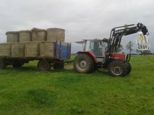 MF 3060 i przyczepa 16t.