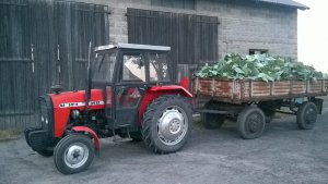 Ursus 3512 & przyczepa