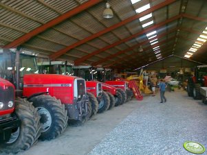 Massey Ferguson'y