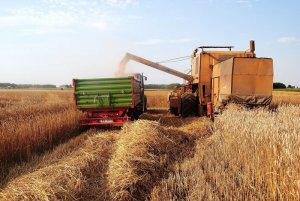 Bizon Z056  & Zetor8441 & Pronar T653/1