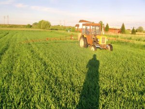 Ursus C-330 + Opryskiwacz