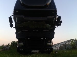 DAF XF 105.460