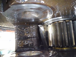 Ursus Finn 914  kosz satelit