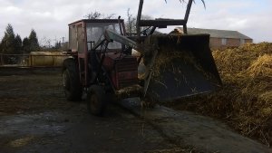 Massey Ferguson 255