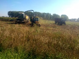 Ursus C-360x2 i Claas Jaguar