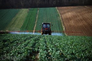 Zetor 7211 & Biardzki 800l / 15m