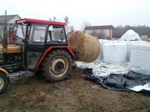 Ursus C330M + Sianokiszonka