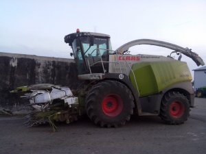 Claas Jaguar 950