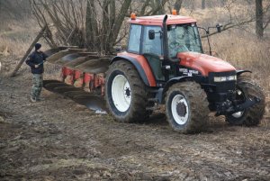 New Holland M135 + Ibis