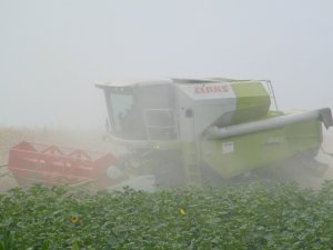 Claas Avero 240