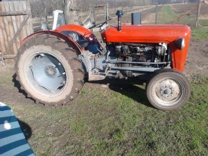 Massey Ferguson 35