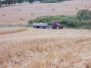 Zetor Forterra 11441 & Autosan D 47