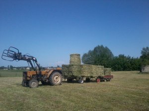 Ursus C-360 + Tur 3B & Przyczepy