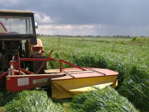 Kosiarka rotacyjna Z-178