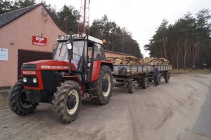 Zetor 8145 Turbo i przyczepy