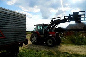 Massey Ferguson 3065