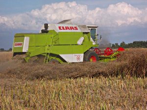 Claas Dominator 96