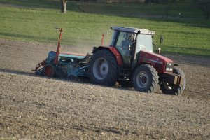 Massey Ferguson 6290