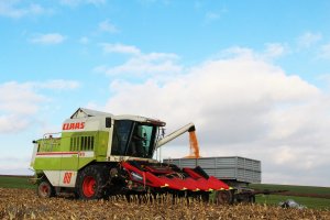 Claas Dominator 88 VX + Geringoff Mais Star* Horizon